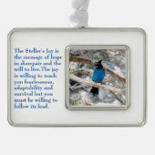 Steller-Jay Rahmen-Ornament Silber (Vorderseite)