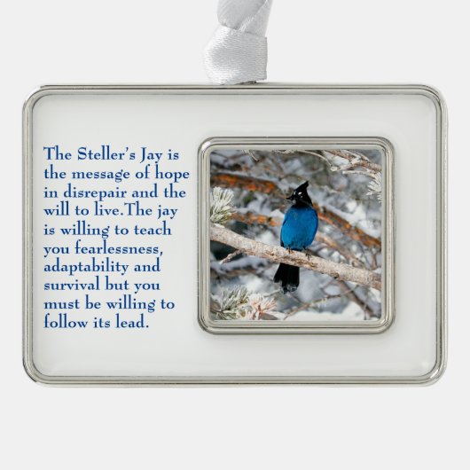 Steller-Jay Rahmen-Ornament Silber (Vorderseite)