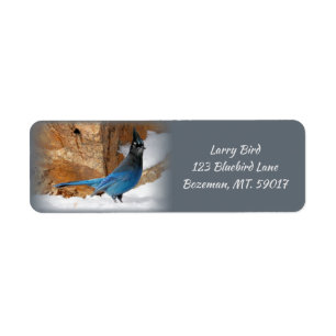 Steller-Jay-Rücksendeadresse