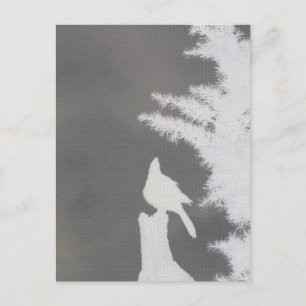 Steller-Jay-Silhouette Postkarte