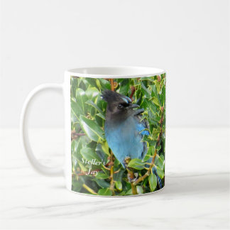 Steller-Jay-Tasse von BirdingCollectibles Kaffeetasse