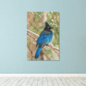 Steller-Jay-Vogel im Baum Leinwanddruck (Insitu (Holzboden))