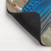 Steller-Jay-Vogel im Baum Mousepad (Ecke)