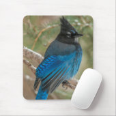 Steller-Jay-Vogel im Baum Mousepad (Mit Mouse)