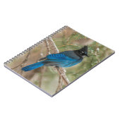 Steller-Jay-Vogel im Baum Notizblock (Linke Seite)