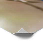 Steller-Jay-Vogel im Baum Poster (Ecke)