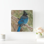 Steller-Jay-Vogel im Baum Quadratische Wanduhr (Zuhause)
