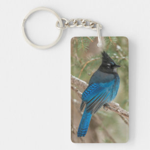 Steller-Jay-Vogel im Baum Schlüsselanhänger