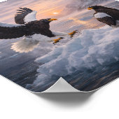 Steller’s Sea Eagle (Haliaeetus pelagicus) – Poster (Ecke)