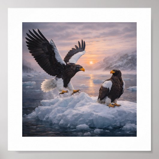 Steller’s Sea Eagle (Haliaeetus pelagicus) – Poster (Vorne)