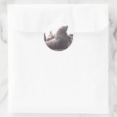 Steller Sea Lion Runder Aufkleber (Tasche)