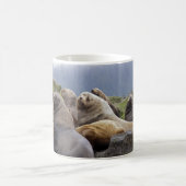 Steller Sea Lions - Tasse (Mittel)