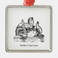 Steller Seelöwe