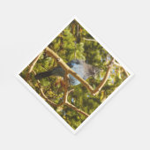 Steller's Jay at Rocky Mountain National Park Serviette (Ecke)