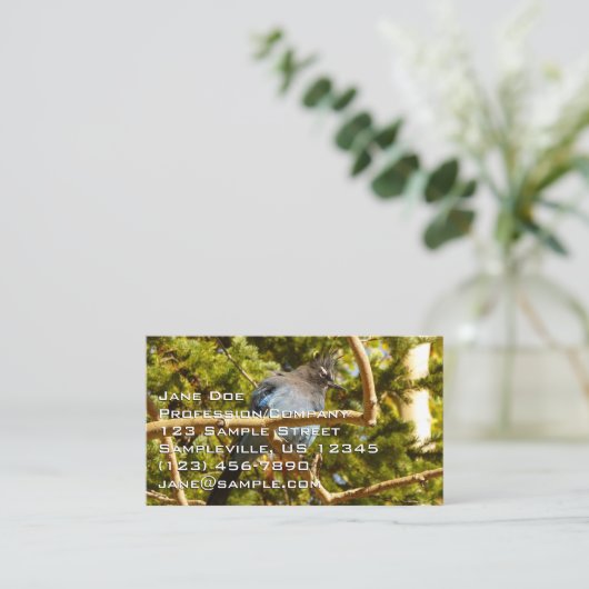 Steller's Jay at Rocky Mountain National Park Visitenkarte (Stehend Vorderseite)