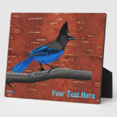 Stellers Jay auf der inneren Birkenhalde Fotoplatte (Seite)