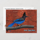 Stellers Jay auf der inneren Birkenhalde Postkarte (Vorne/Hinten)