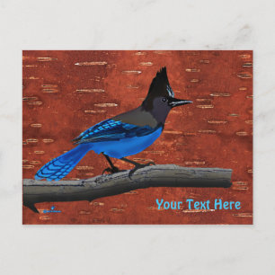 Stellers Jay auf der inneren Birkenhalde Postkarte