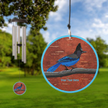 Stellers Jay auf der inneren Birkenhalde