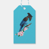 Steller's Jay Gift Tag Geschenkanhänger (Vorderseite)