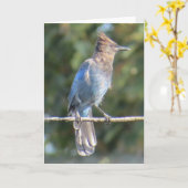 Stellers Jay-Grußkarte Karte (Gelbe Blume)