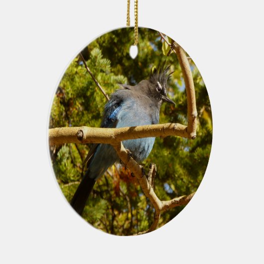Steller's Jay im Rocky Mountain National Park Keramik Ornament (Rechts)
