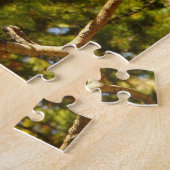 Steller's Jay im Rocky Mountain National Park Puzzle (Seite)