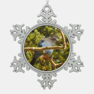 Steller's Jay im Rocky Mountain National Park Schneeflocken Zinn-Ornament