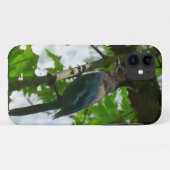 Steller's Jay im Yosemite-Nationalpark Case-Mate iPhone Hülle (Rückseite (Horizontal))