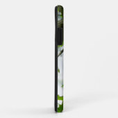 Steller's Jay im Yosemite-Nationalpark Case-Mate iPhone Hülle (Hinten/Rechts)