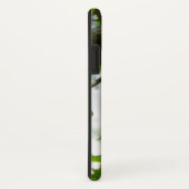 Steller's Jay im Yosemite-Nationalpark Case-Mate iPhone Hülle (Hinten/Rechts)