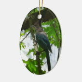 Steller's Jay im Yosemite-Nationalpark Keramikornament (Links)