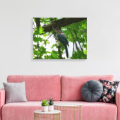 Steller's Jay im Yosemite-Nationalpark Leinwanddruck (Insitu (Wohnzimmer))