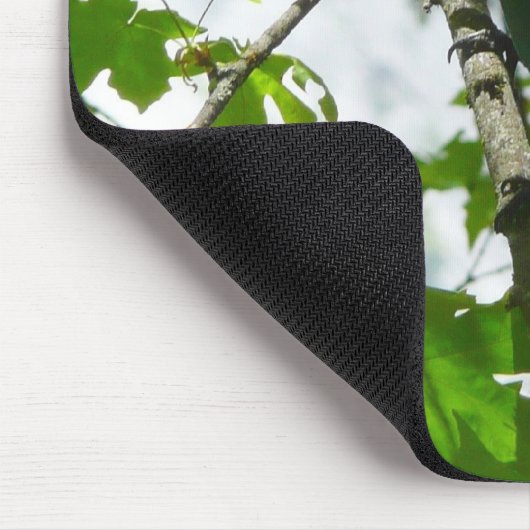 Steller's Jay im Yosemite-Nationalpark Mousepad (Ecke)