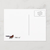 Steller's Jay im Yosemite-Nationalpark Postkarte (Rückseite)