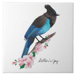 Steller's Jay Keramik Tile Fliese