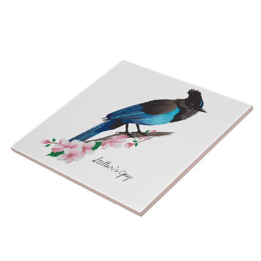 Steller's Jay Keramik Tile Fliese (Seite)