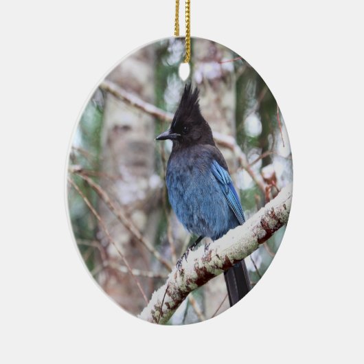 Stellers Jay Keramikornament (Rechts)