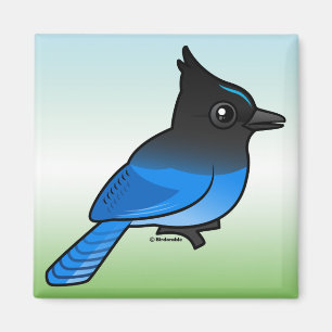 Stellers Jay Magnet