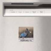 Steller's Jay mit Erdnussmagnet Idyllwild, Ca Magnet (In Situ (Geschirrspüler))