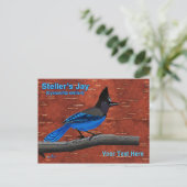 Steller's Jay on Inner Birch Bark Postcard Postkarte (Stehend Vorderseite)