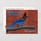 Steller's Jay on Inner Birch Bark Postcard Postkarte (Vorne/Hinten)
