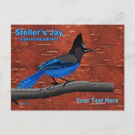 Steller's Jay on Inner Birch Bark Postcard Postkarte