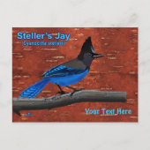 Steller's Jay on Inner Birch Bark Postcard Postkarte (Vorderseite)