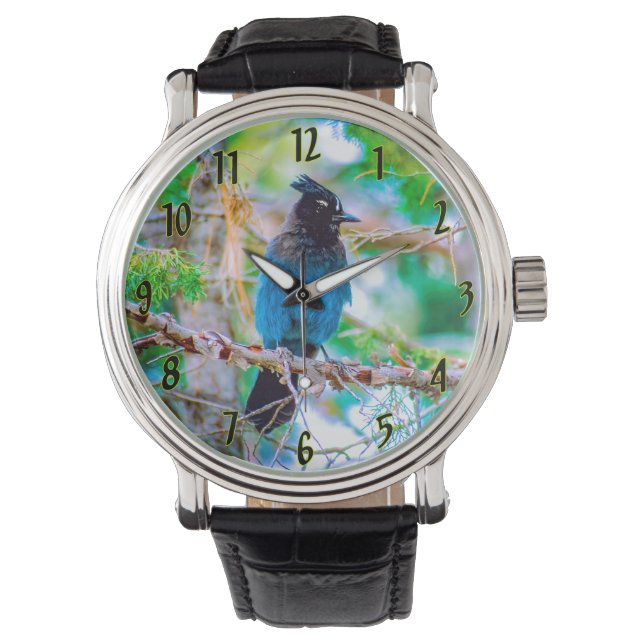 Steller's Jay - Original Foto Armbanduhr (Vorderseite)