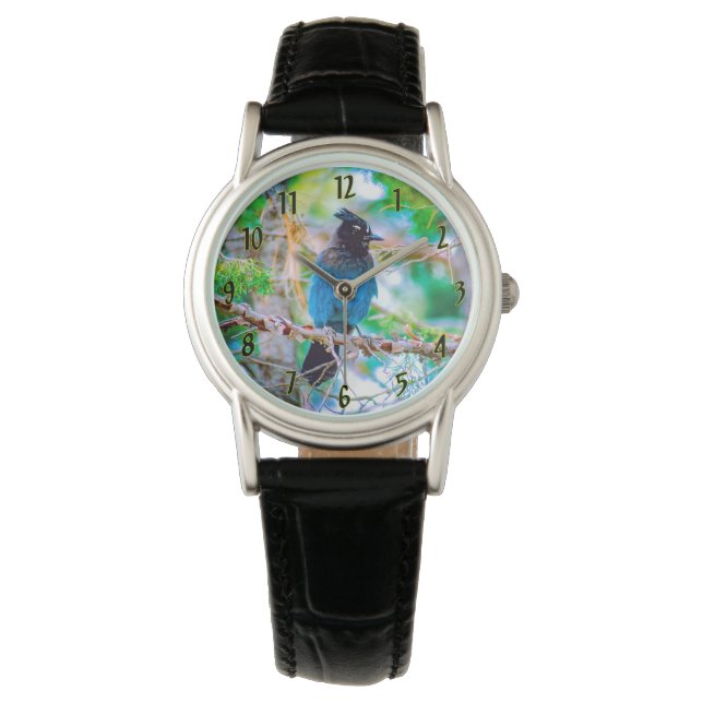 Steller's Jay - Original Foto Armbanduhr (Vorderseite)