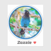 Steller's Jay - Original Foto Aufkleber (Blatt)