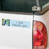 Steller's Jay - Original Foto Autoaufkleber (Auf Lkw)
