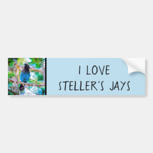 Steller's Jay - Original Foto Autoaufkleber