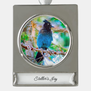 Steller's Jay - Original Foto Banner-Ornament Silber